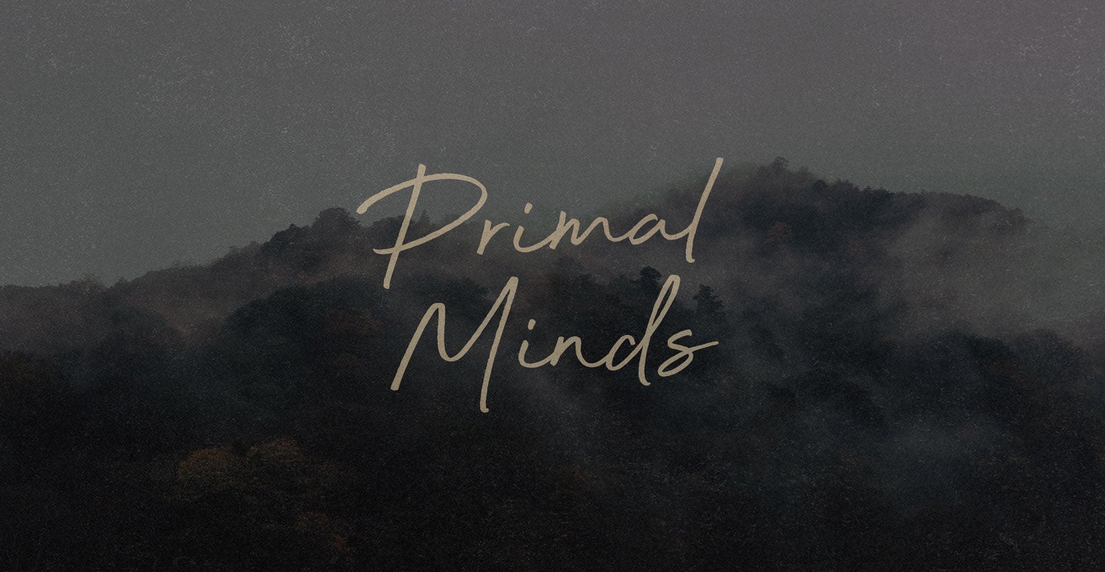 Beyond Infinity Handwritten Brush Script Font - BLKBK Type - Hand Drawn Script Font