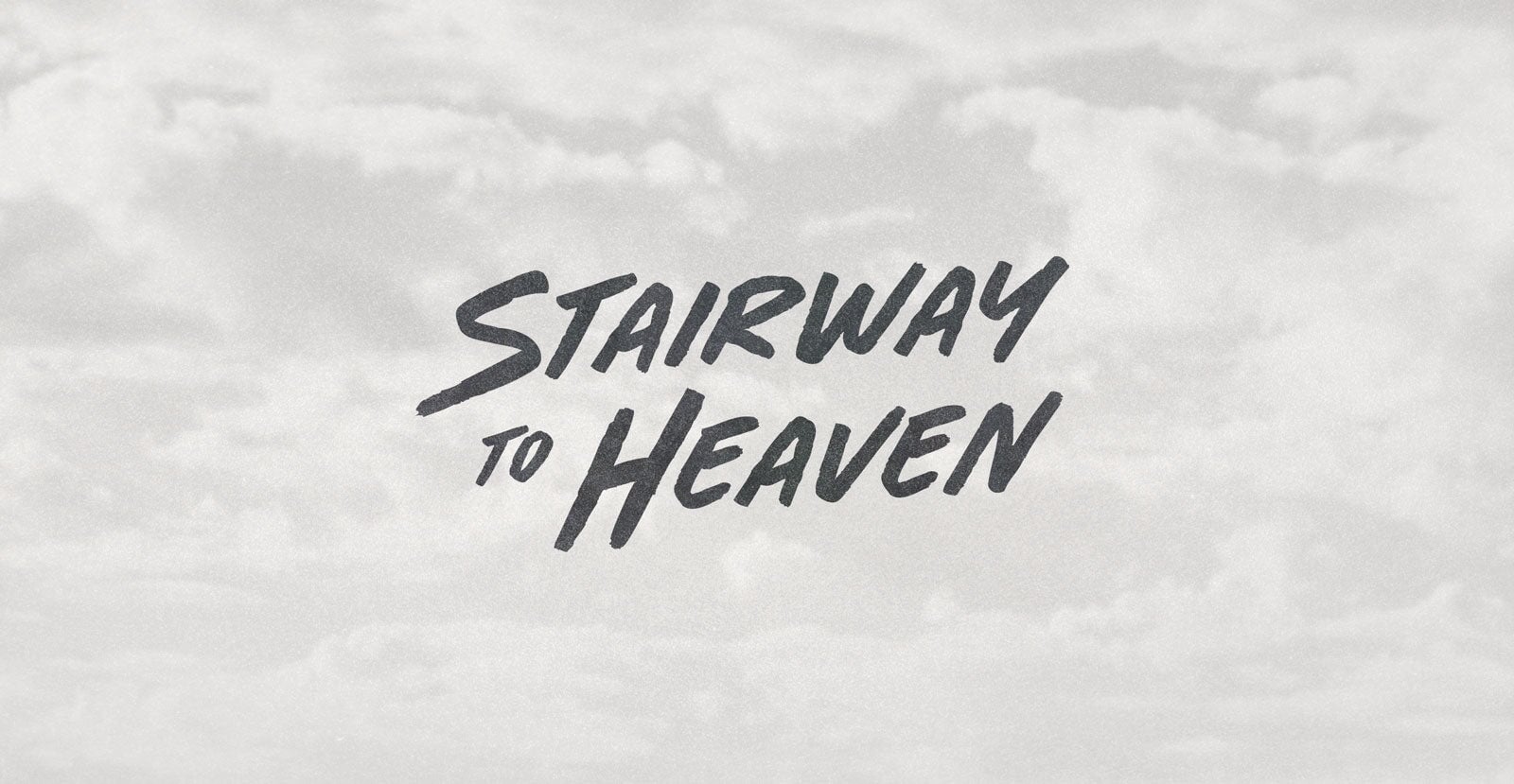Born Wild Handwritten Brush Script Font - BLKBK Type - Hand Drawn Script Font