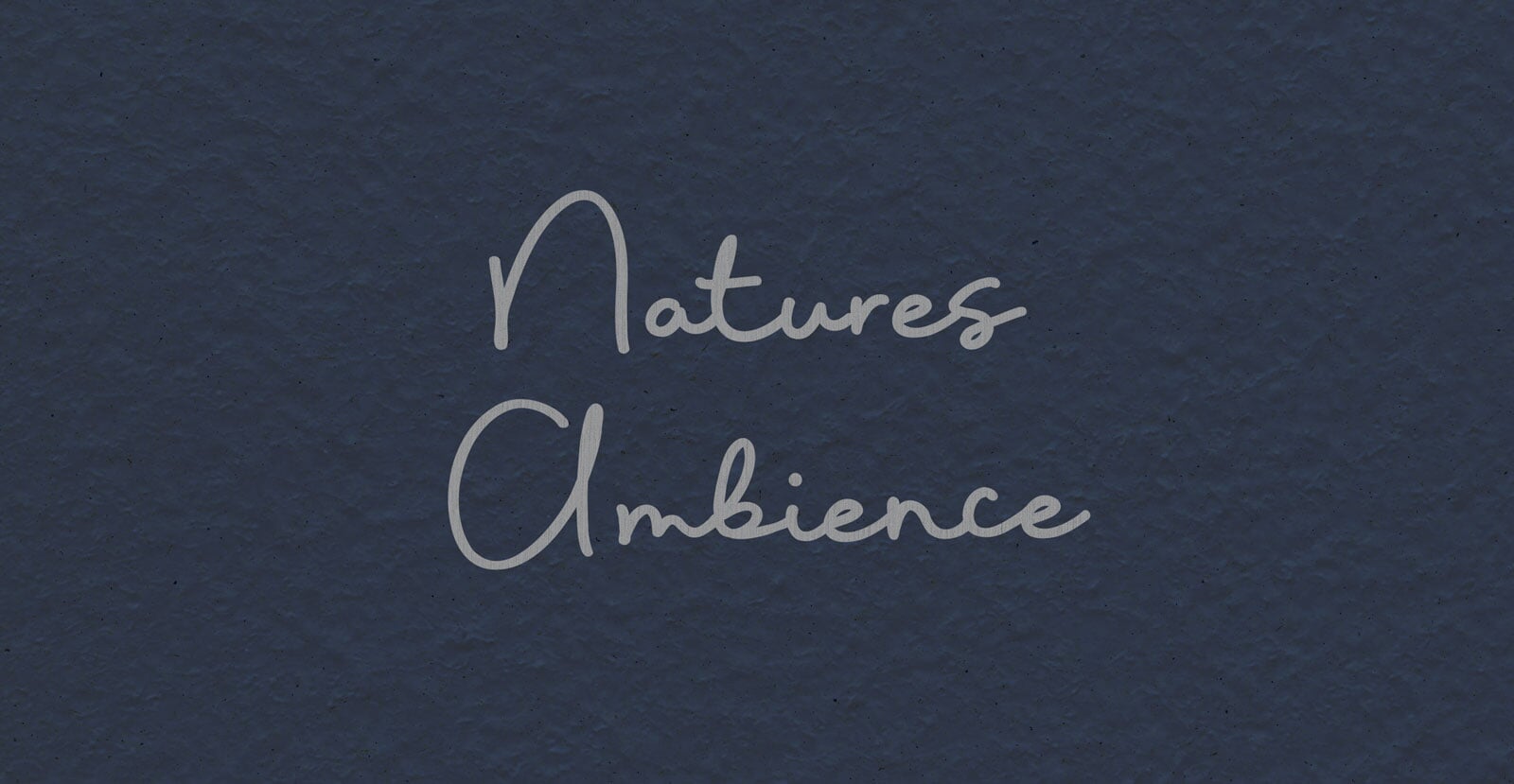 Blue Canary Handwritten Pen Script Font - BLKBK Type - Hand Drawn Script Font
