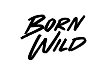 Born Wild Handwritten Brush Script Font - BLKBK Type - Hand Drawn Script Font
