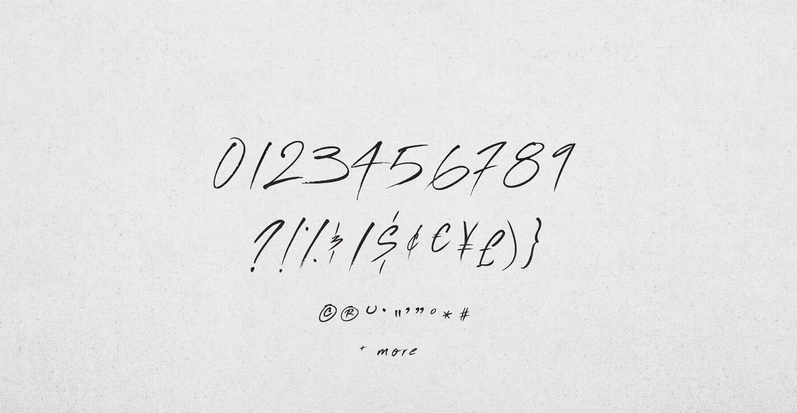 Flash Back Handwritten Brush Script Font - BLKBK Type - Hand Drawn Script Font