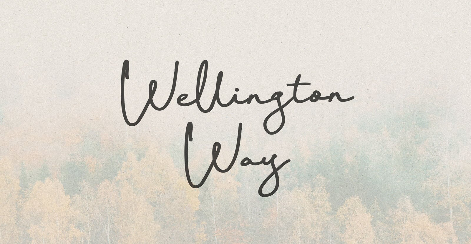 Wellington Way Handwritten Pen Script Font - BLKBK Type - Hand Drawn Script Font