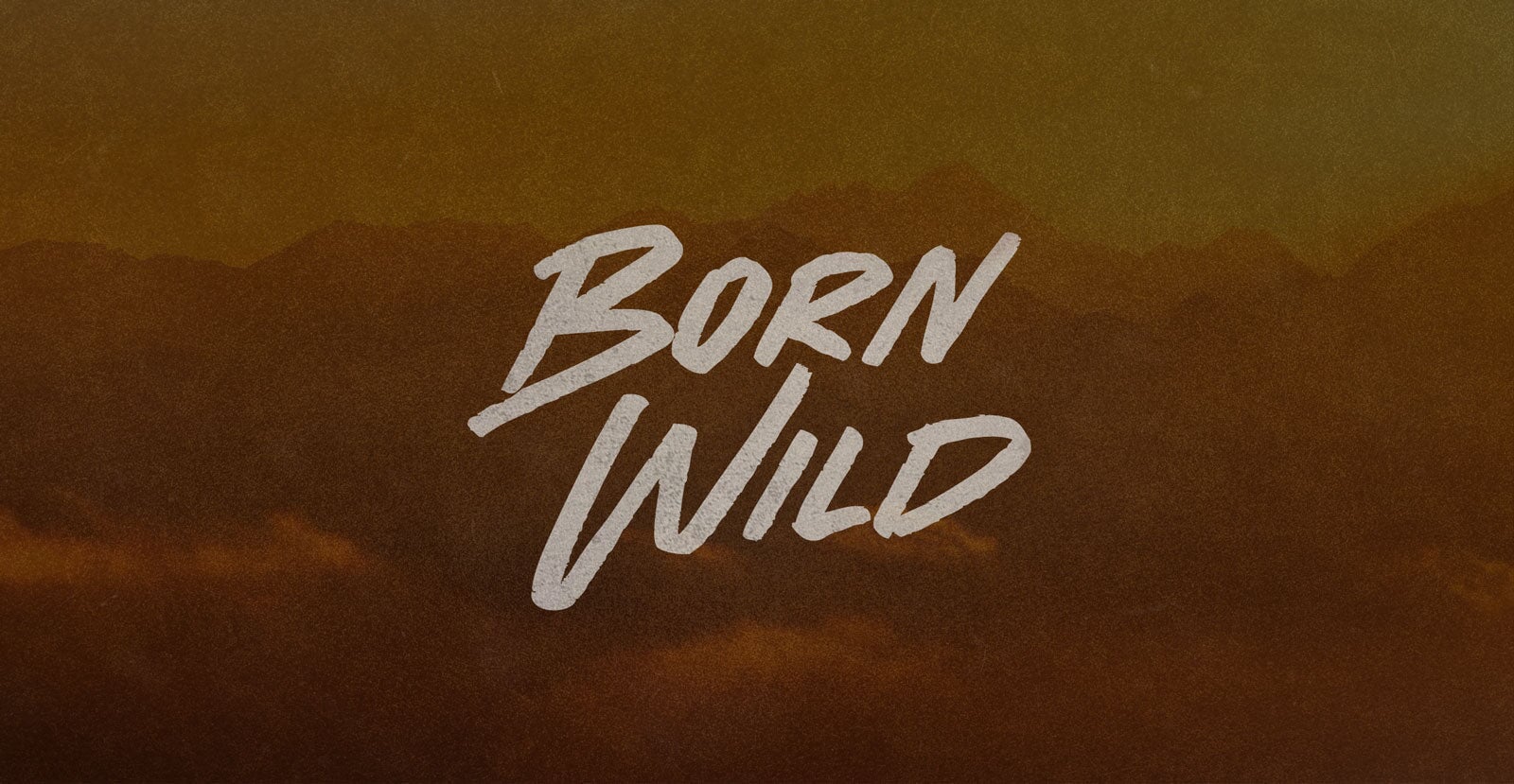 Born Wild Handwritten Brush Script Font - BLKBK Type - Hand Drawn Script Font