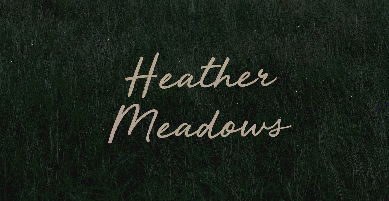 Heather Meadows Handwritten Brush Script Font - BLKBK Type - Hand Drawn Script Font