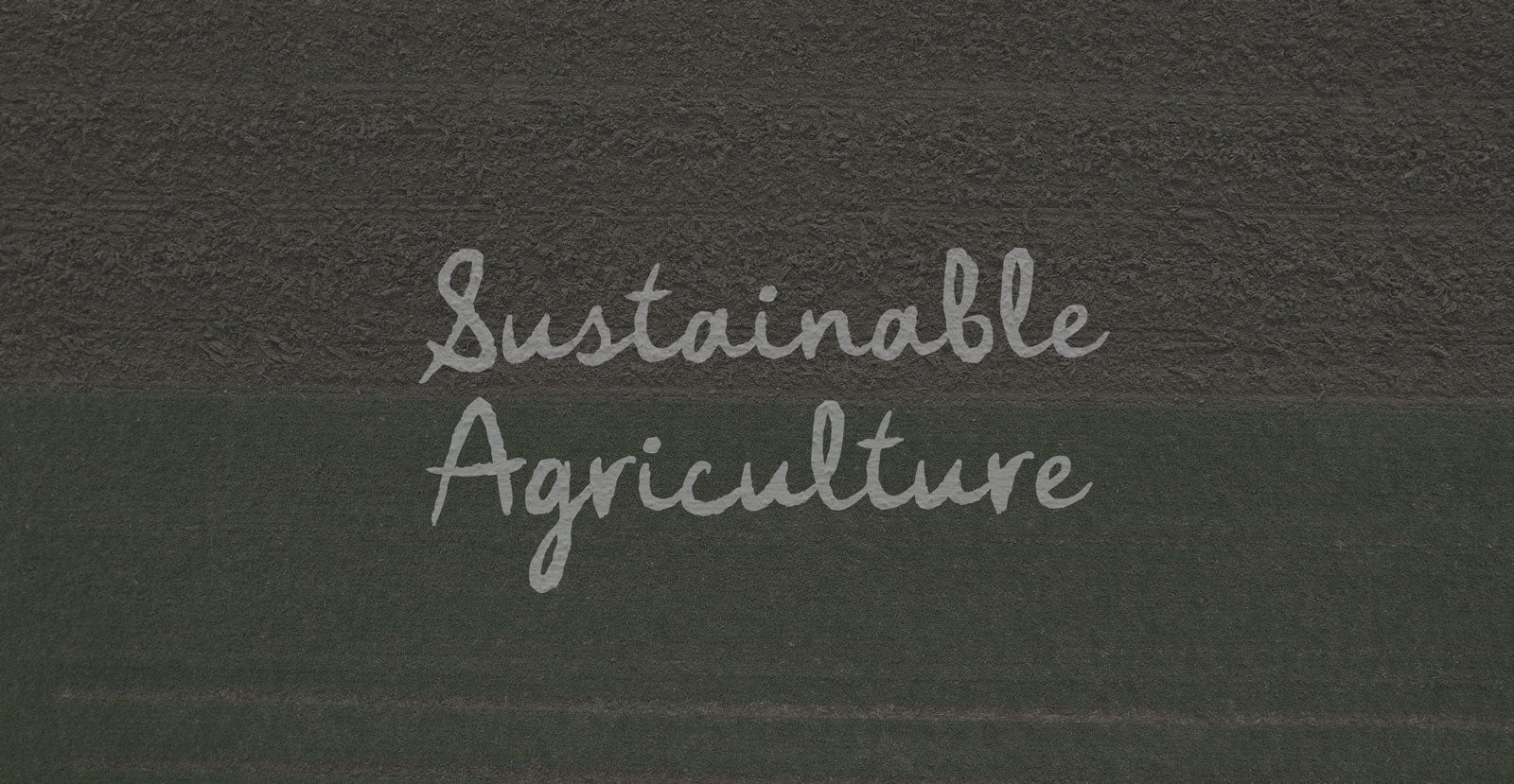 Chaves Ravine Handwritten Brush Font - BLKBK Type - Hand Drawn Script Font