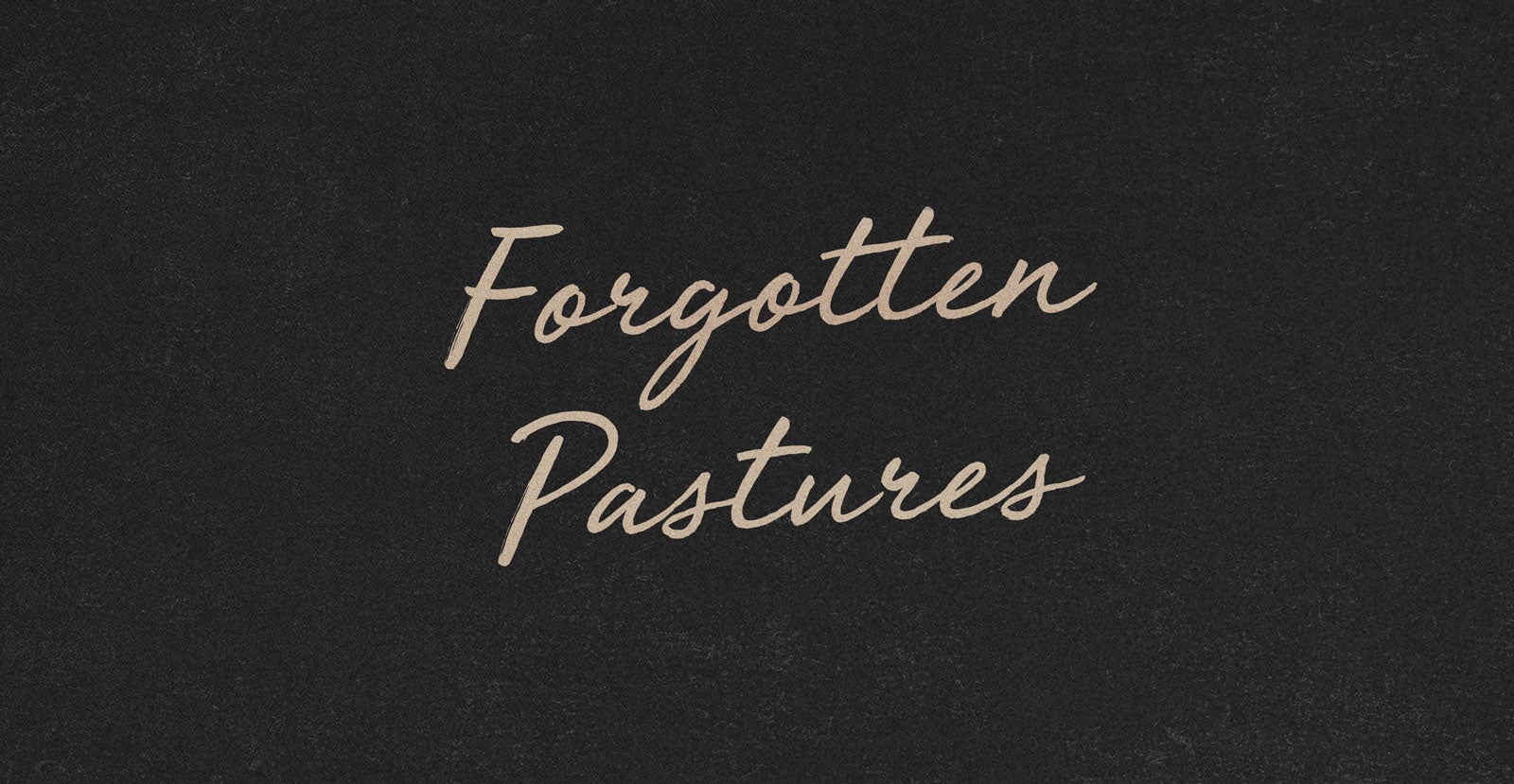 Heather Meadows Handwritten Brush Script Font - BLKBK Type - Hand Drawn Script Font