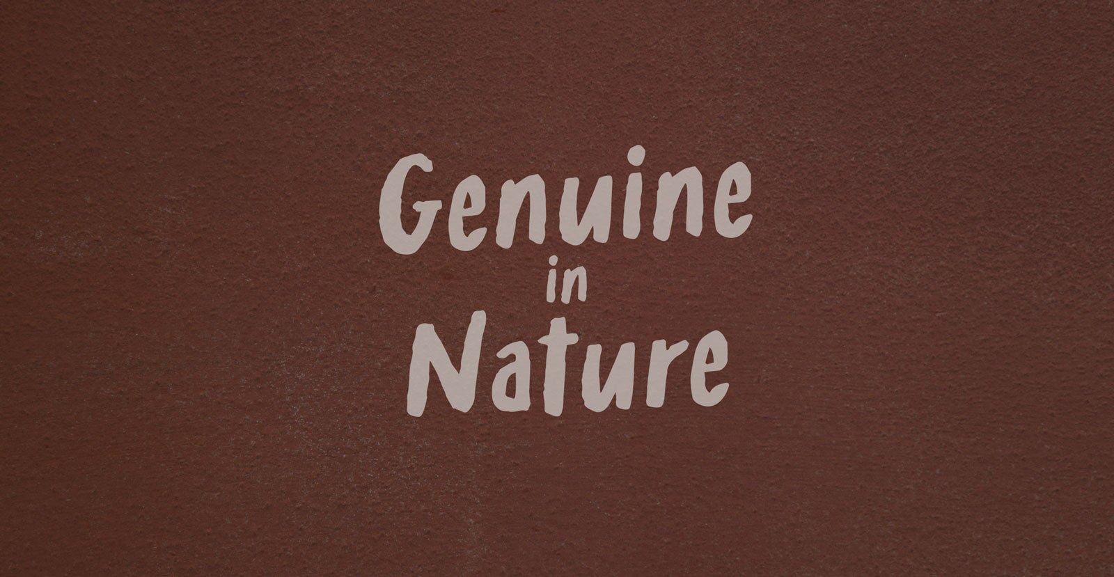 Mixed Feelings Handwritten Brush Font - BLKBK Type - Hand Drawn Script Font