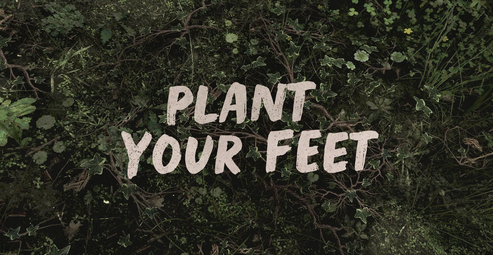 Earth Rich Handwritten Brush Font - BLKBK Type - Hand Drawn Script Font