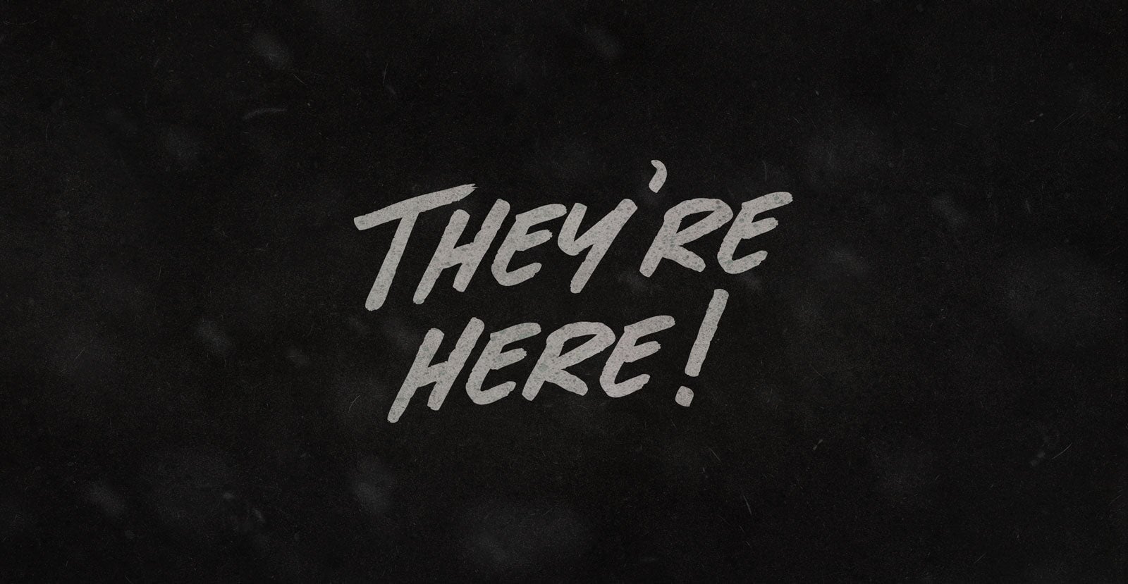 Born Wild Handwritten Brush Script Font - BLKBK Type - Hand Drawn Script Font