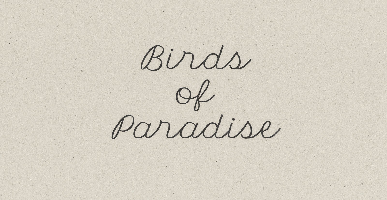 Forever After Handwritten Pen Script Font - BLKBK Type - Hand Drawn Script Font