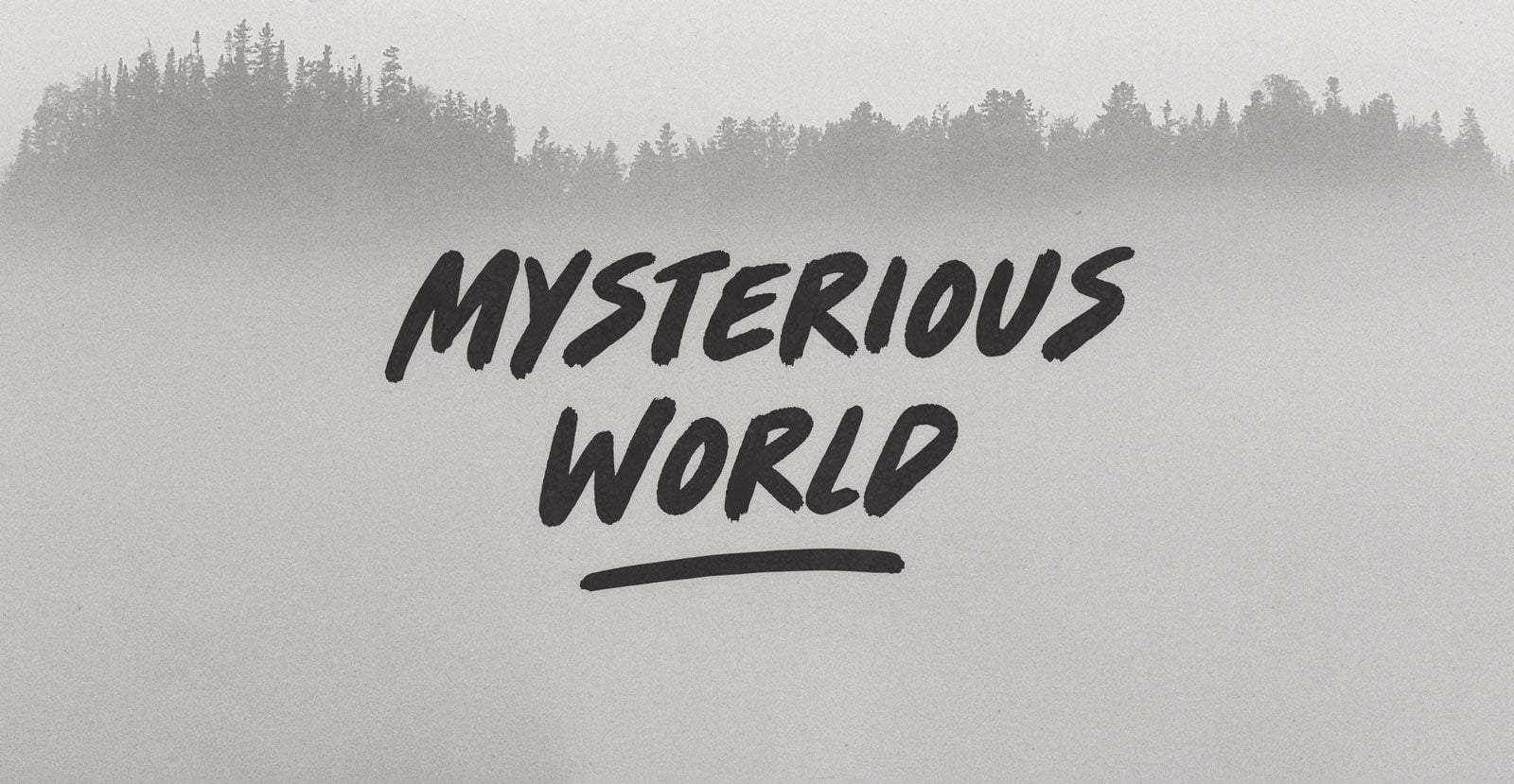 Zero Gravity Handwritten Brush Font - BLKBK Type - Hand Drawn Script Font