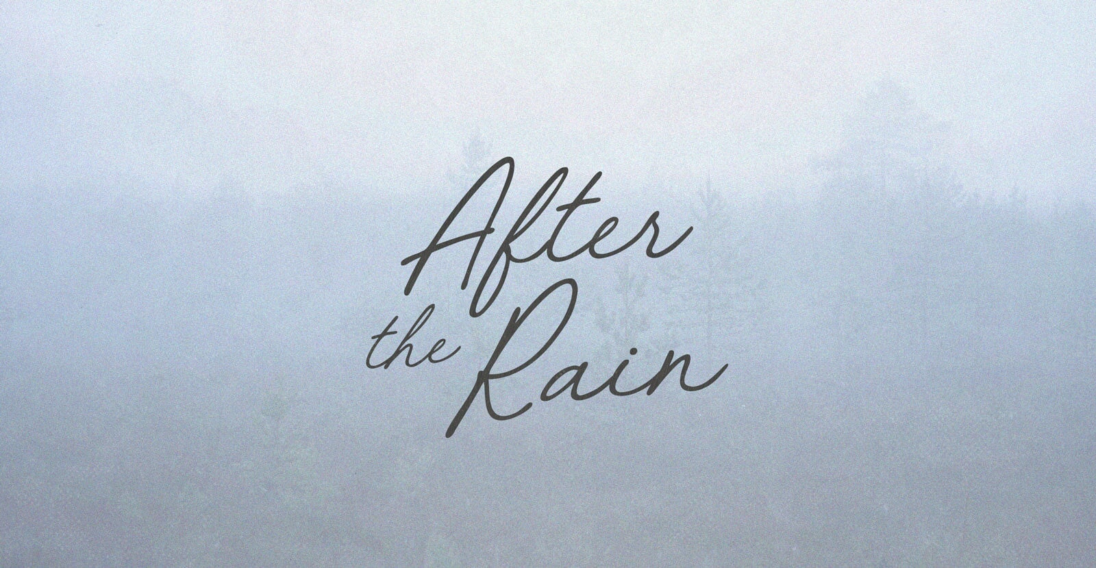 Garden Bloom Handwritten Brush Script Font - BLKBK Type - Hand Drawn Script Font