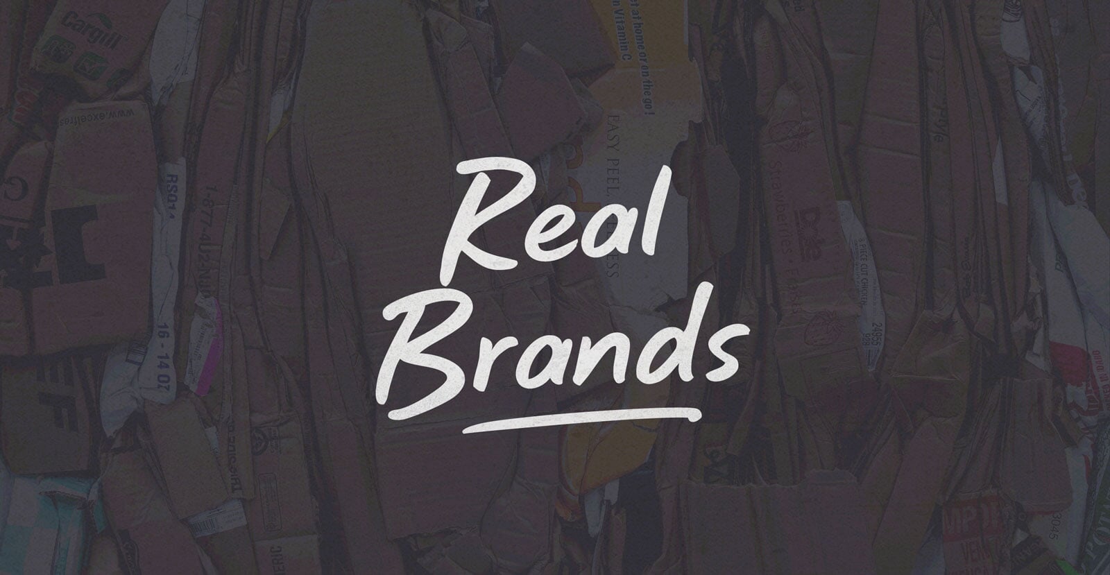 Sonic Waves Handwritten Brush Script Font - BLKBK Type - Hand Drawn Script Font