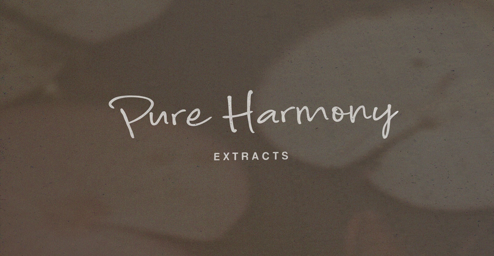 Natural Essence Handwritten Brush Script Font - BLKBK Type - Hand Drawn Script Font