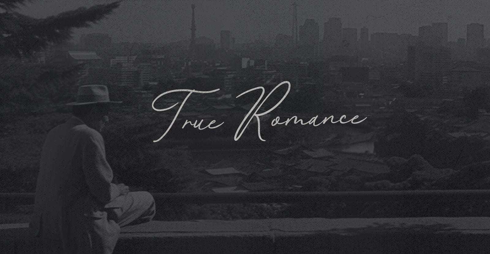 Hickory Lane Handwritten Brush Script Font - BLKBK Type - Hand Drawn Script Font