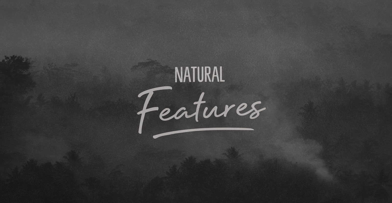 Mother Nature Handwritten Brush Script Font - BLKBK Type - Hand Drawn Script Font