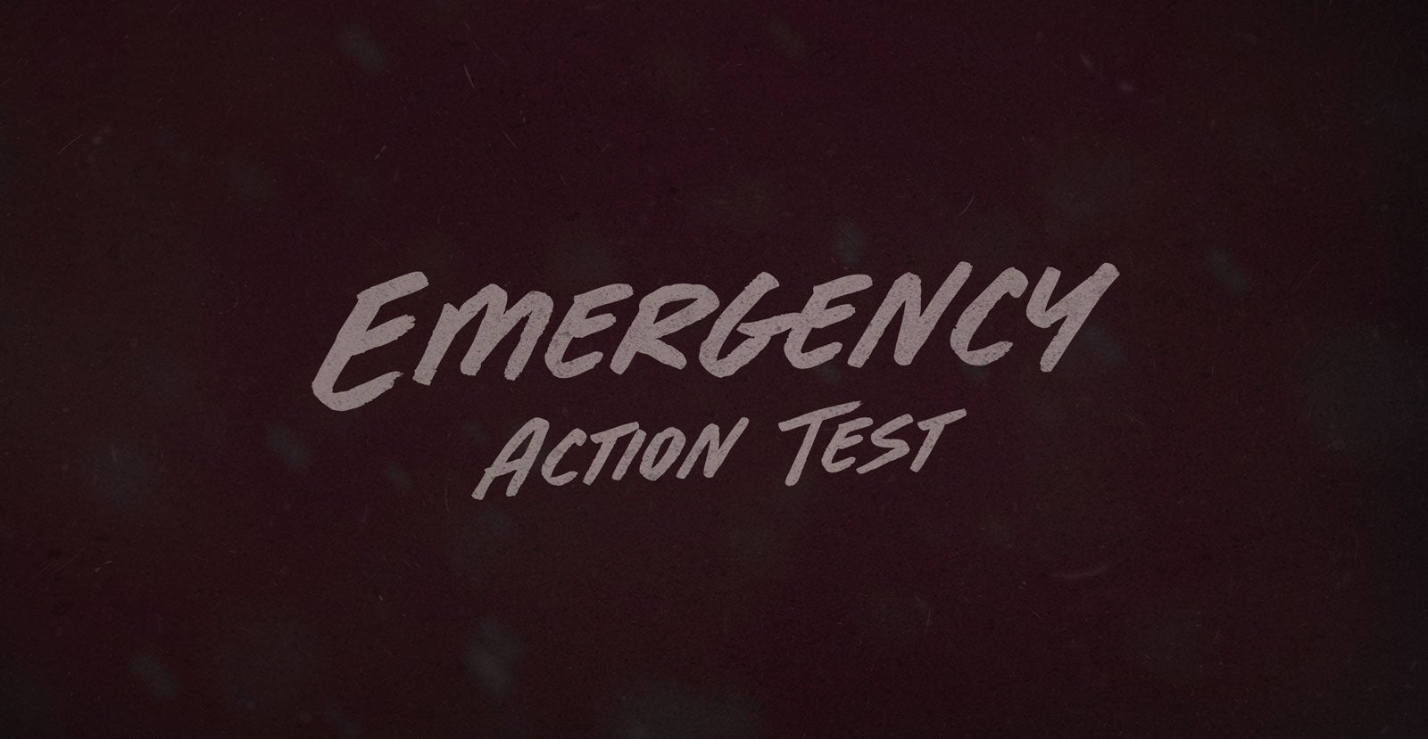 Born Wild Handwritten Brush Script Font - BLKBK Type - Hand Drawn Script Font