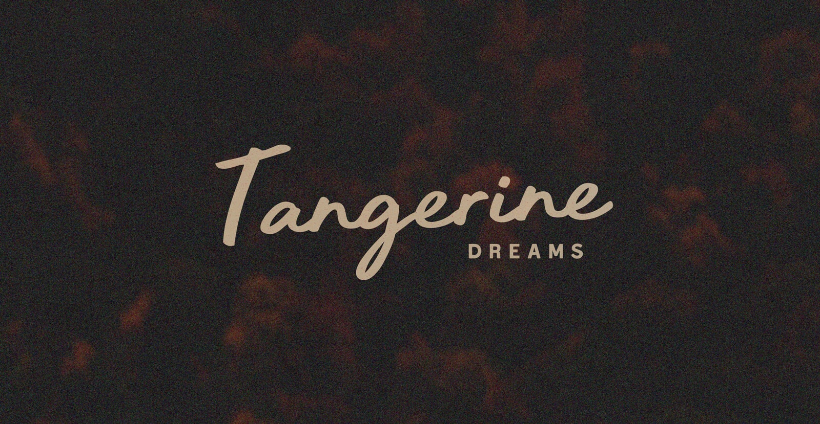 Daily Motion Handwritten Brush Script Font - BLKBK Type - Hand Drawn Script Font