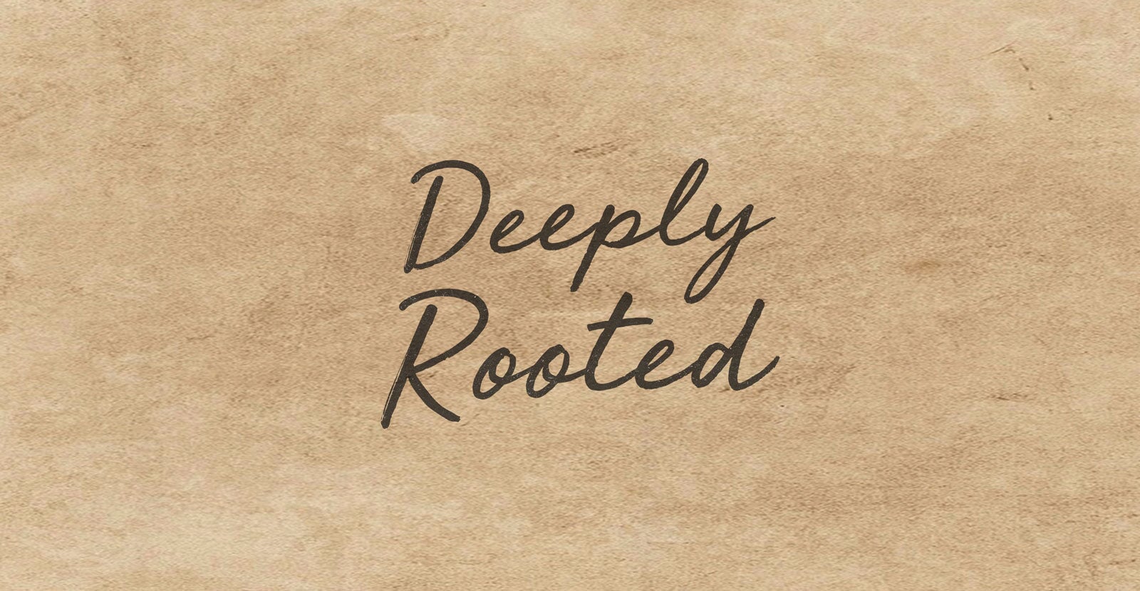 Heather Meadows Handwritten Brush Script Font - BLKBK Type - Hand Drawn Script Font