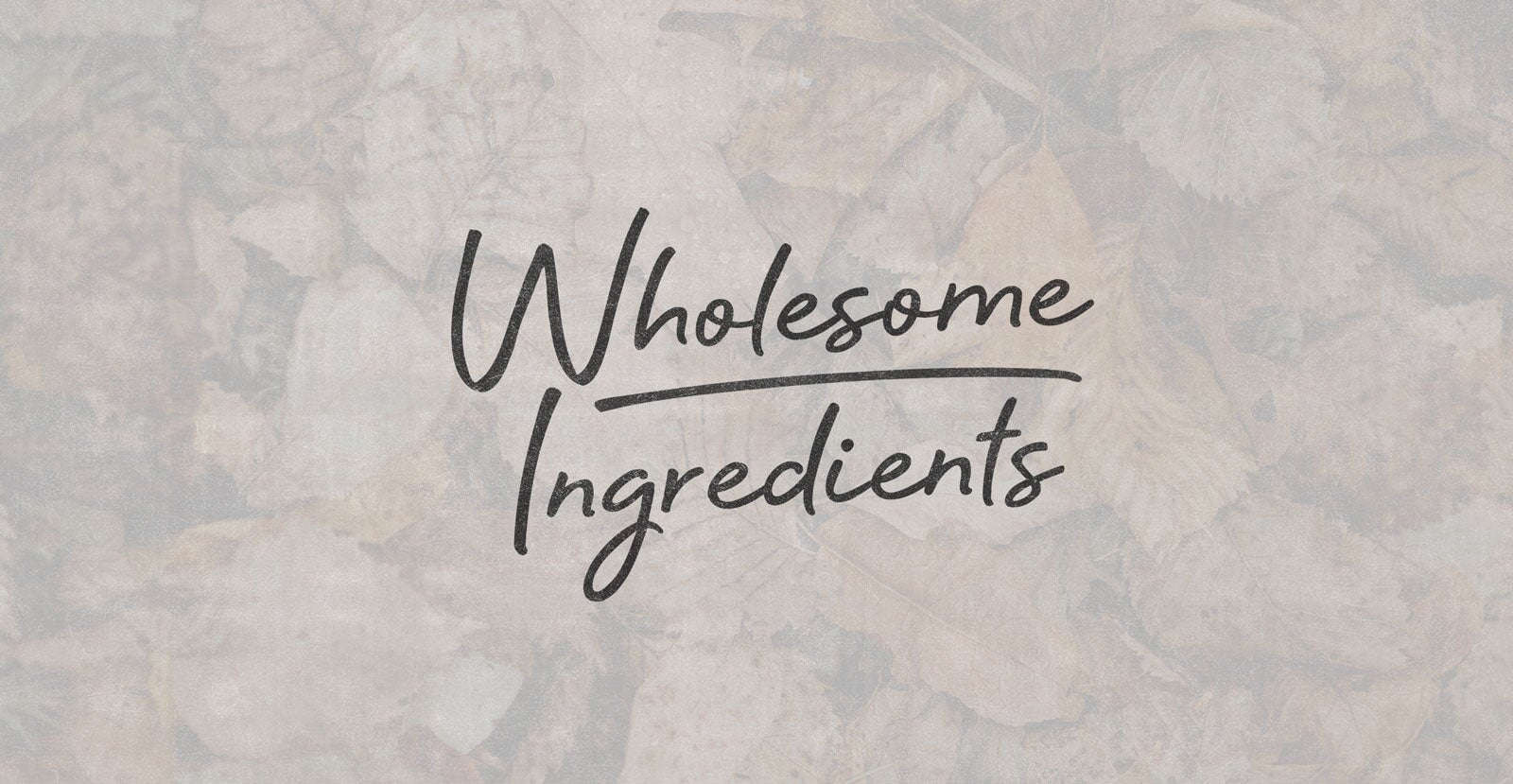 Mother Nature Handwritten Brush Script Font - BLKBK Type - Hand Drawn Script Font