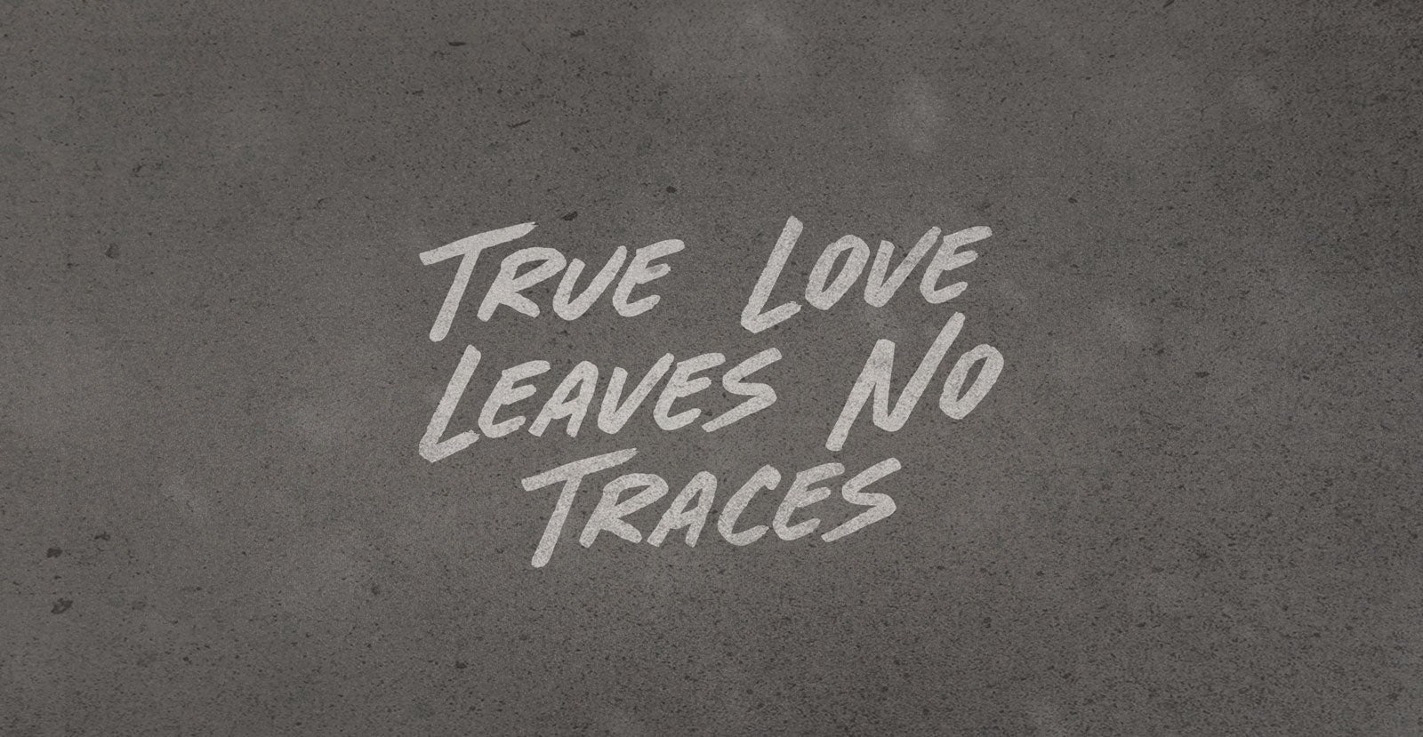 Born Wild Handwritten Brush Script Font - BLKBK Type - Hand Drawn Script Font