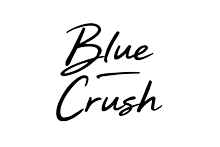 Blue Crush Handwritten Brush Script Font - BLKBK Type - Hand Drawn Script Font
