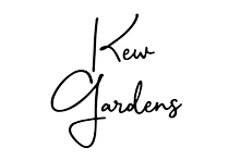 Download-Kew Gardens-Creative Hand Drawn Script Display Font-Web Fonts by BLKBK Type