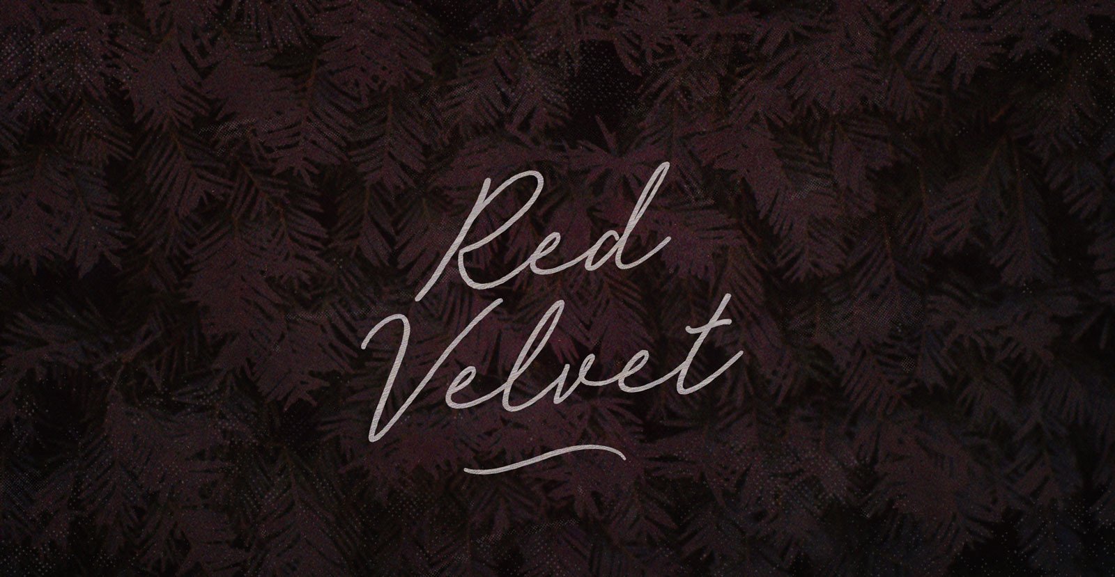 Red Velvet Handwritten Brush Script Font - BLKBK Type - Hand Drawn Script Font