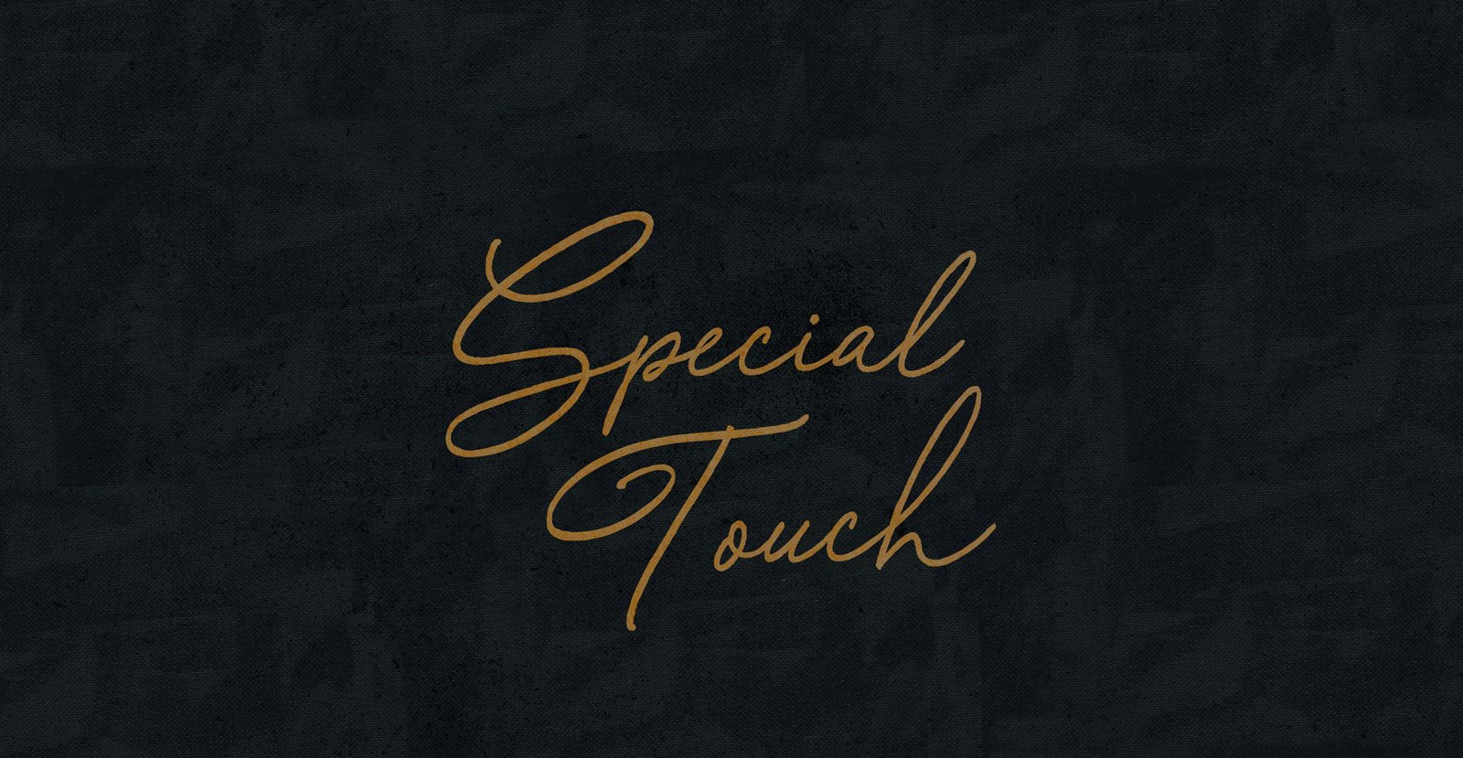 Special Touch Handwritten Brush Script Font - BLKBK Type - Hand Drawn Script Font