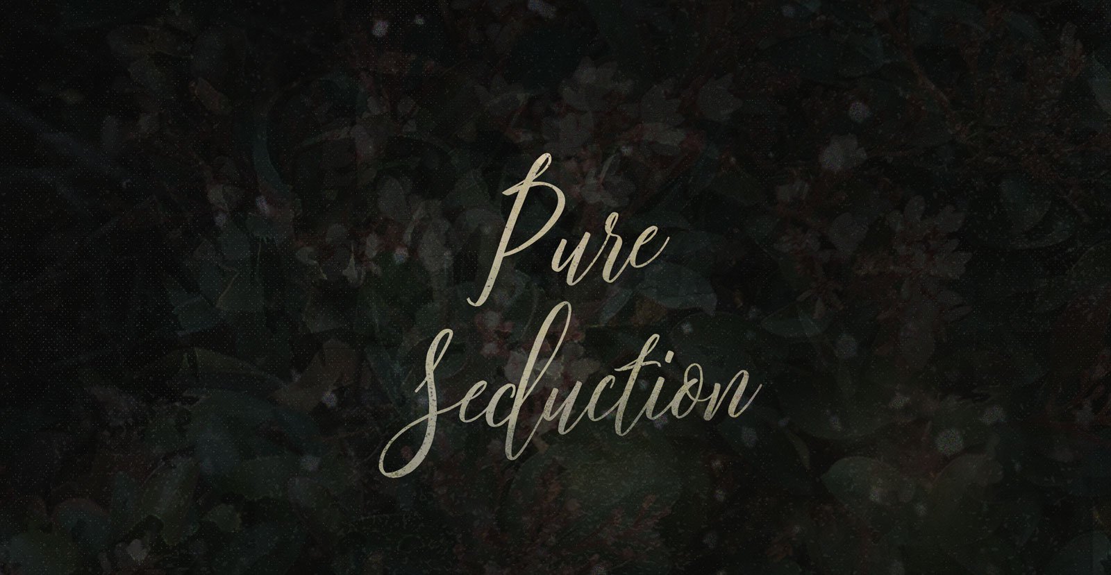 Pure Seduction Handwritten Brush Script Font - BLKBK Type - Hand Drawn Script Font