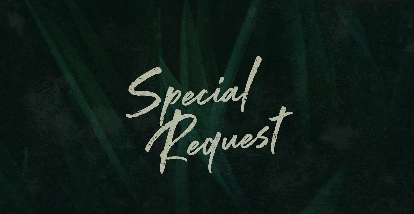 Special Request Handwritten Brush Script Font - BLKBK Type - Hand Drawn Script Font