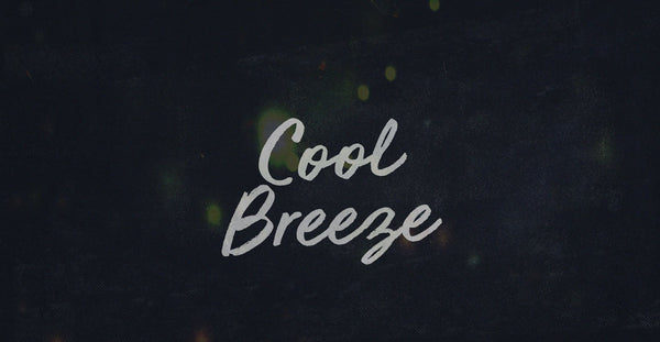Cool Breeze - Handwritten Brush Script Font – BLKBK Fonts