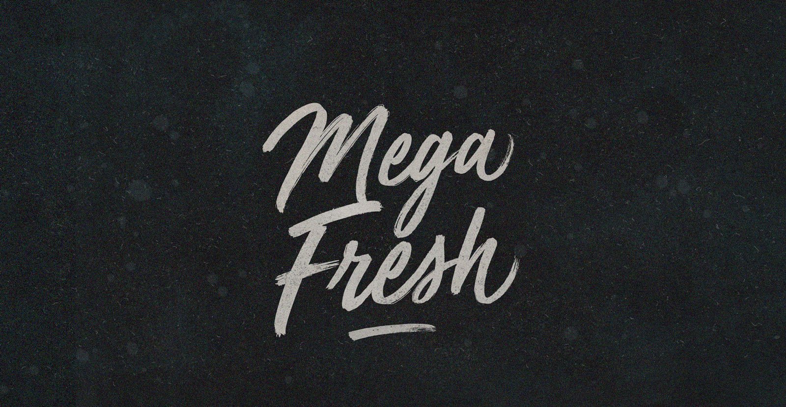 Mega Fresh Handwritten Brush Script Font - BLKBK Type - Hand Drawn Script Font