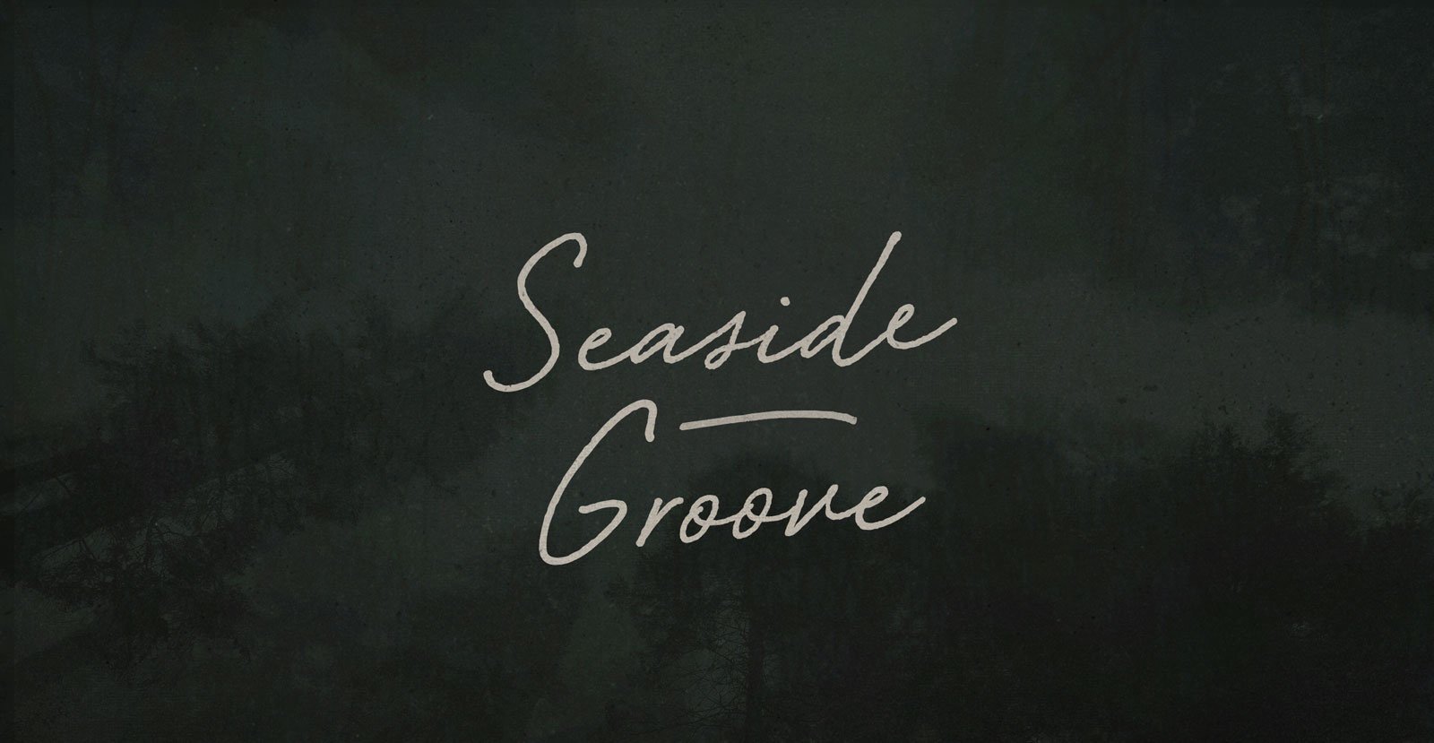 Seaside Groove Handwritten Brush Script Font - BLKBK Type - Hand Drawn Script Font