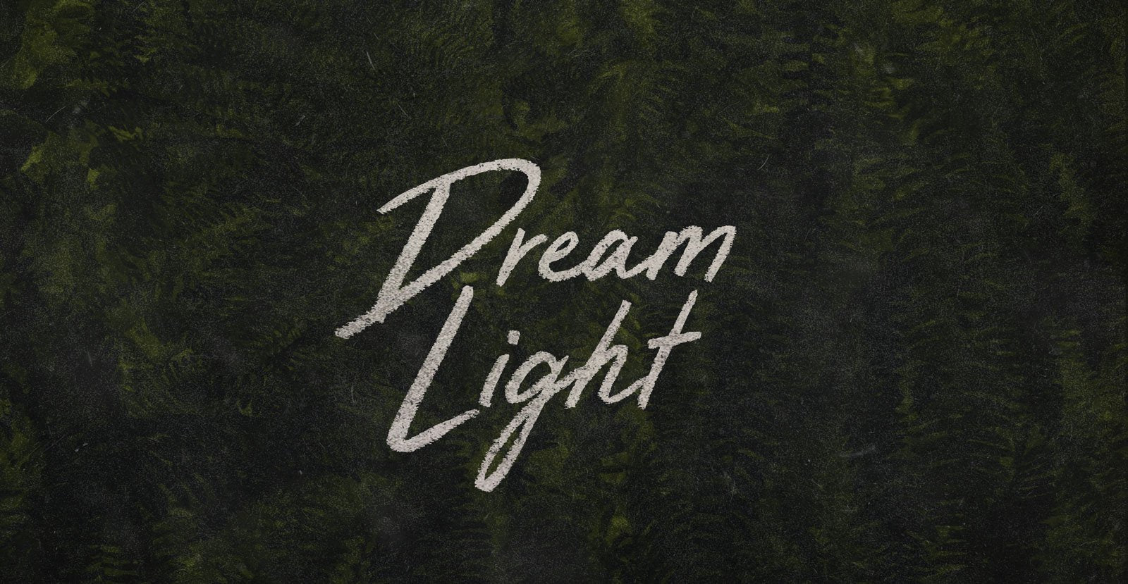 Dream Light Handwritten Brush Script Font - BLKBK Type - Hand Drawn Script Font