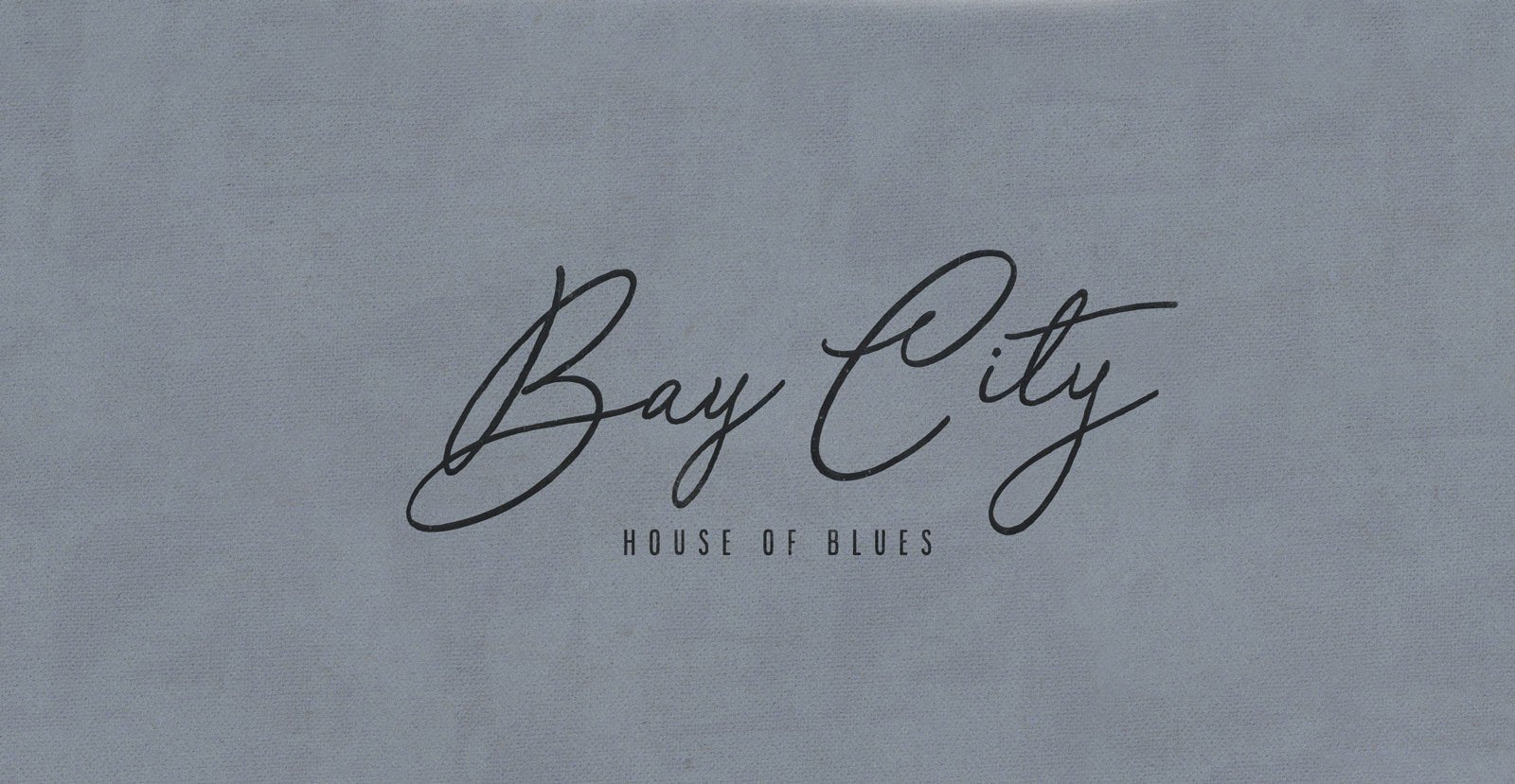 Special Touch Handwritten Brush Script Font - BLKBK Type - Hand Drawn Script Font