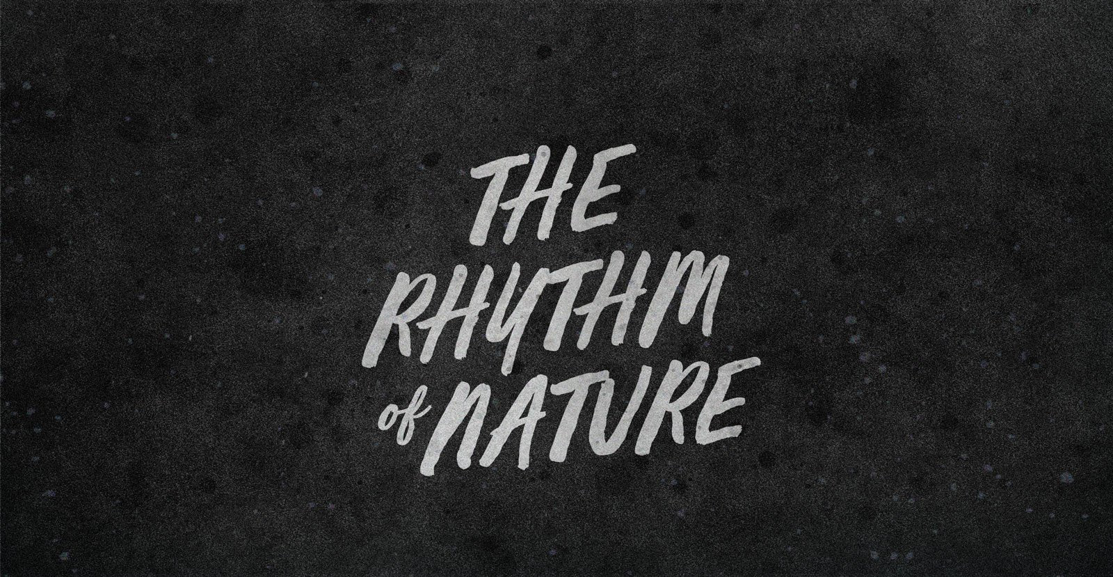 Quiet Nights Handwritten Brush Script Font - BLKBK Type - Hand Drawn Script Font