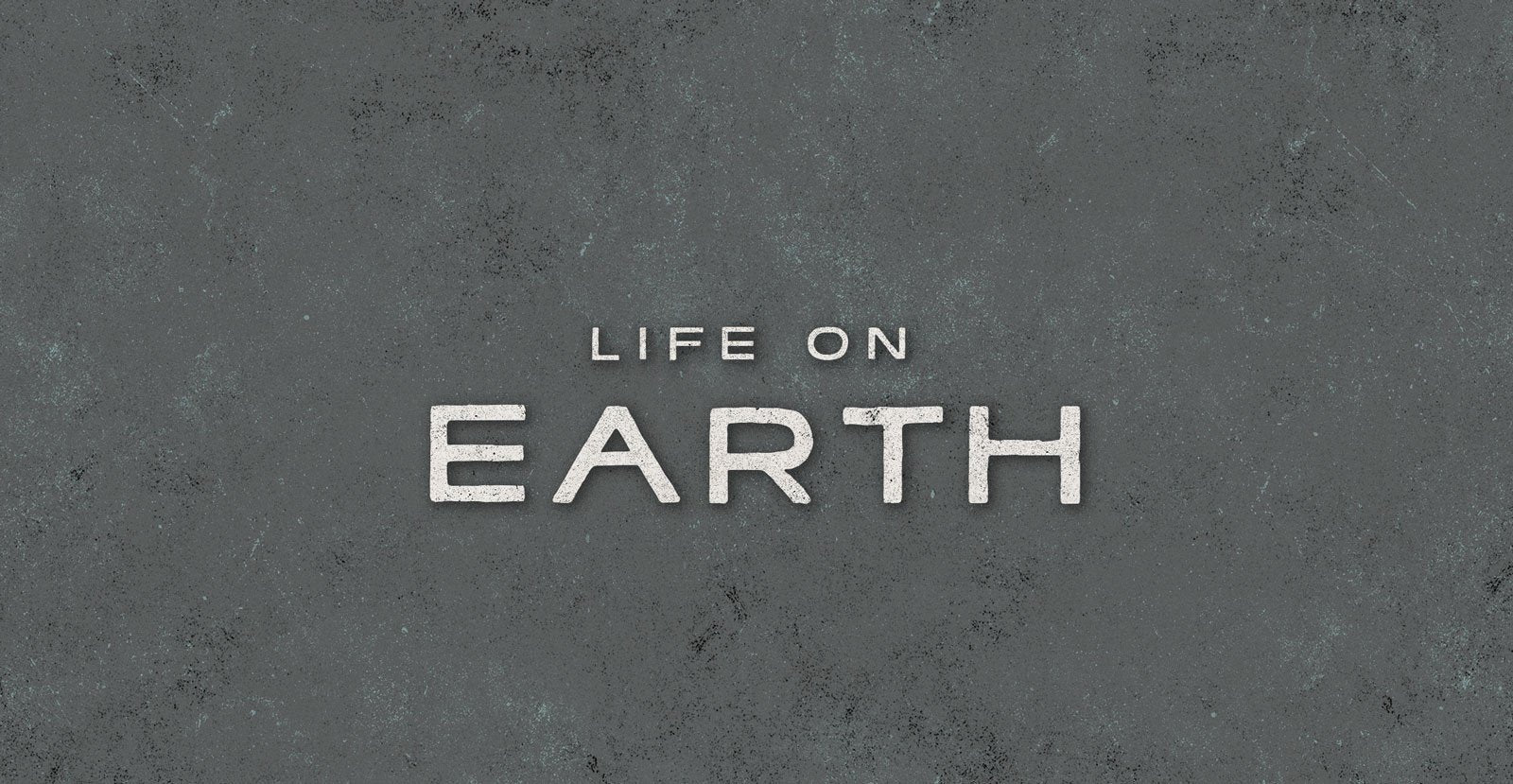 Time Warp Handwritten Sans Font - BLKBK Type - Hand Drawn Script Font