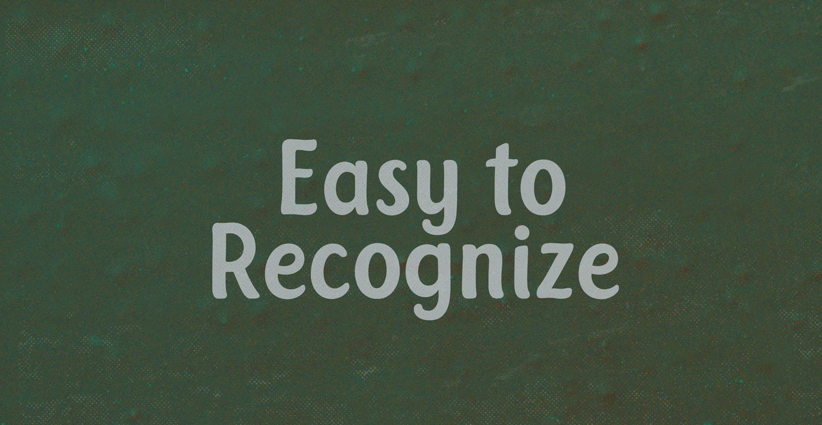 Sugar Cane Fonts - BLKBK Type - Hand Drawn Script Font