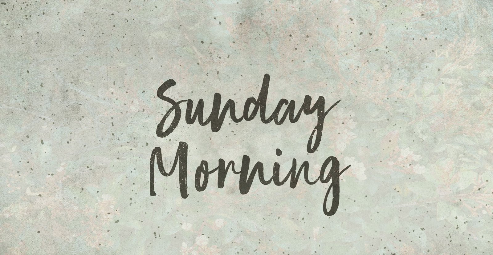 Human Nature Handwritten Brush Script Font - BLKBK Type - Hand Drawn Script Font