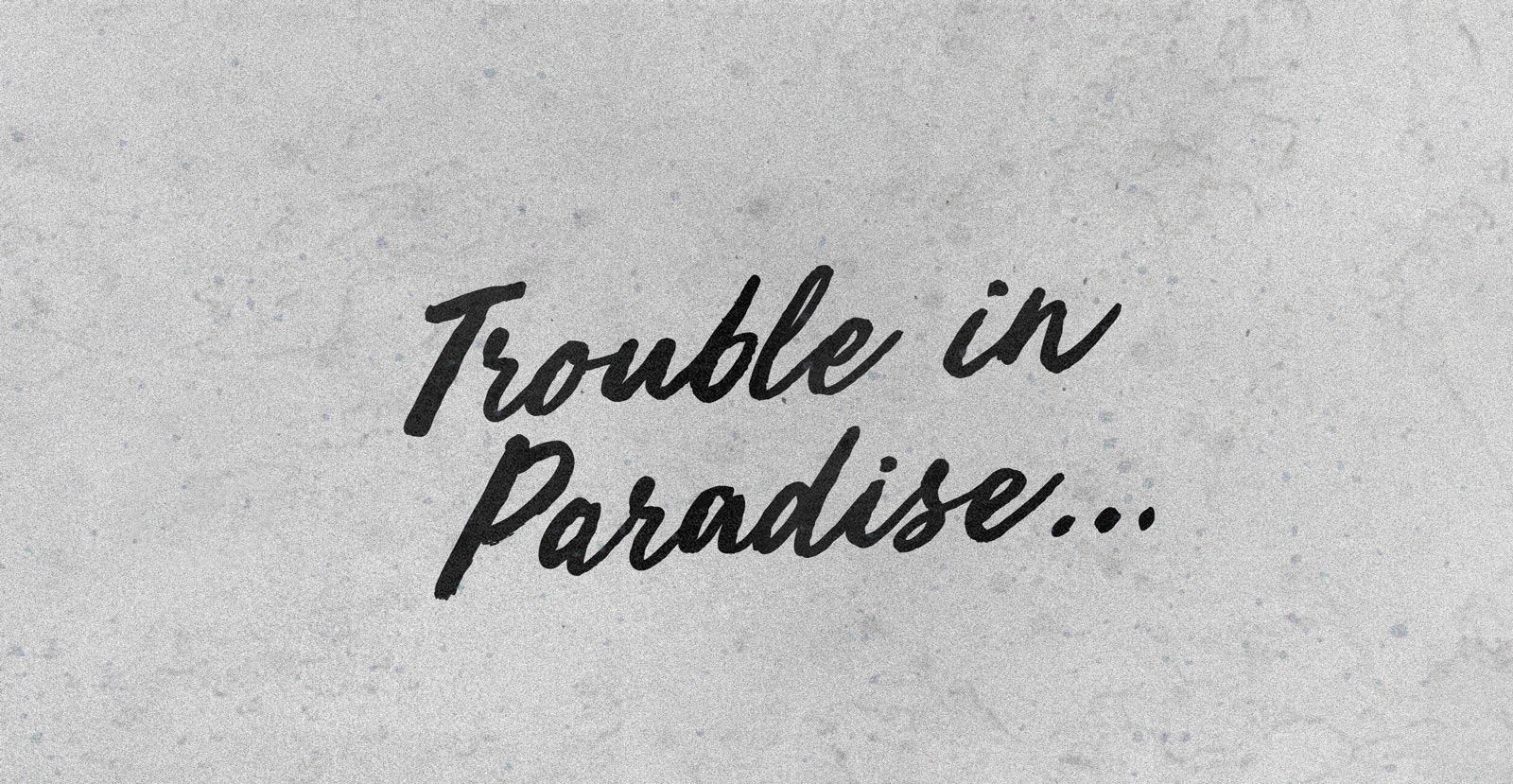 Quiet Nights Handwritten Brush Script Font - BLKBK Type - Hand Drawn Script Font