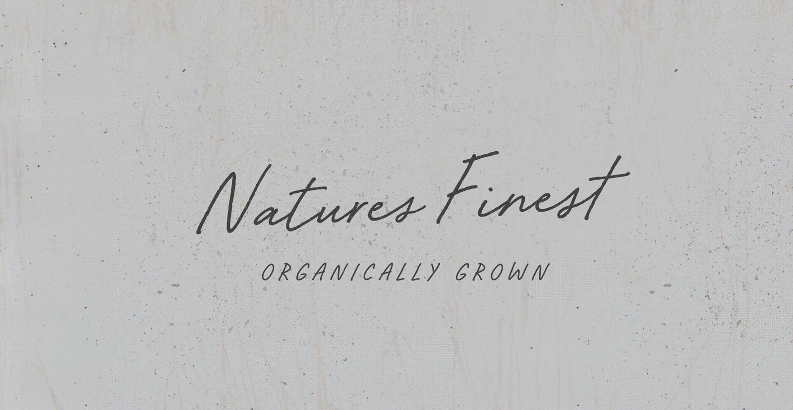 Seaside Groove Handwritten Brush Script Font - BLKBK Type - Hand Drawn Script Font