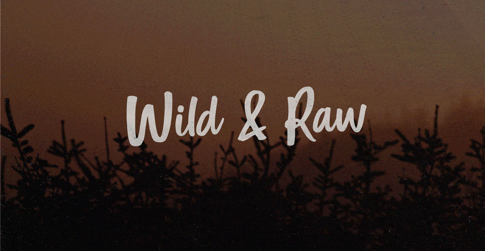 Free Style Handwritten Brush Script Font - BLKBK Type - Hand Drawn Script Font