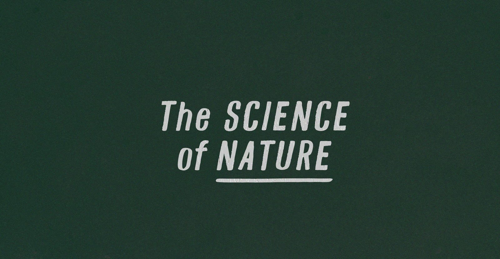 Hall Trash Handwritten Brush Font - BLKBK Type - Hand Drawn Script Font