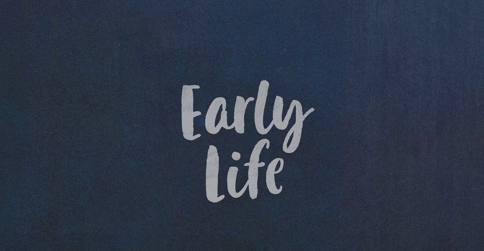 Casual Delight Handwritten Brush Script Font - BLKBK Type - Hand Drawn Script Font