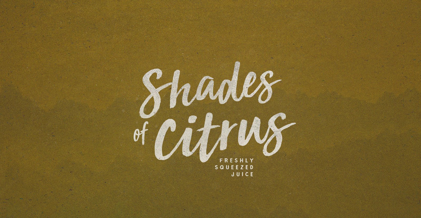 Sun Valley Handwritten Brush Script Font - BLKBK Type - Hand Drawn Script Font