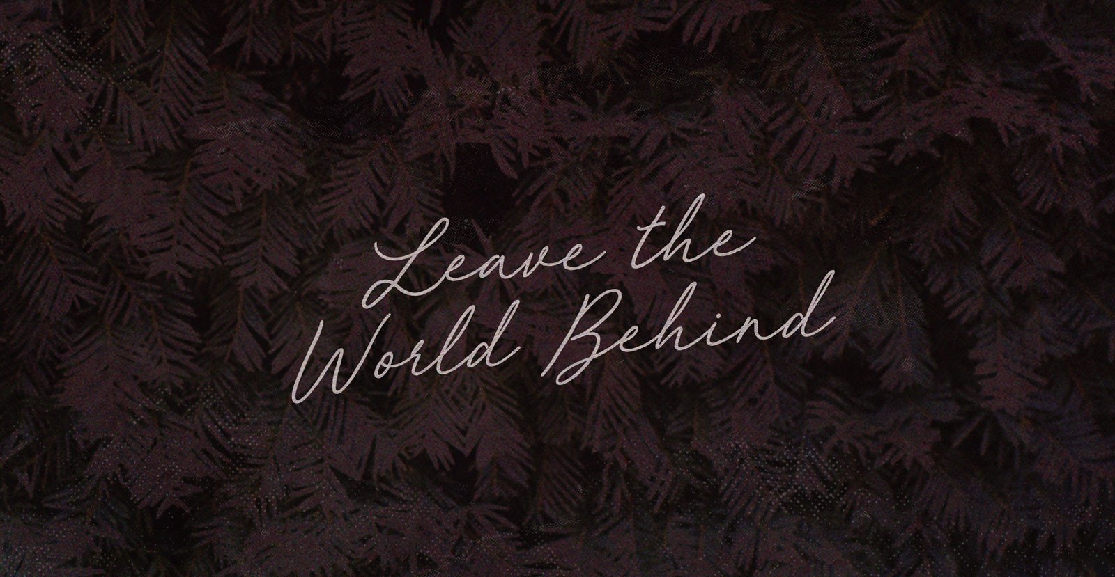 Red Velvet Handwritten Brush Script Font - BLKBK Type - Hand Drawn Script Font