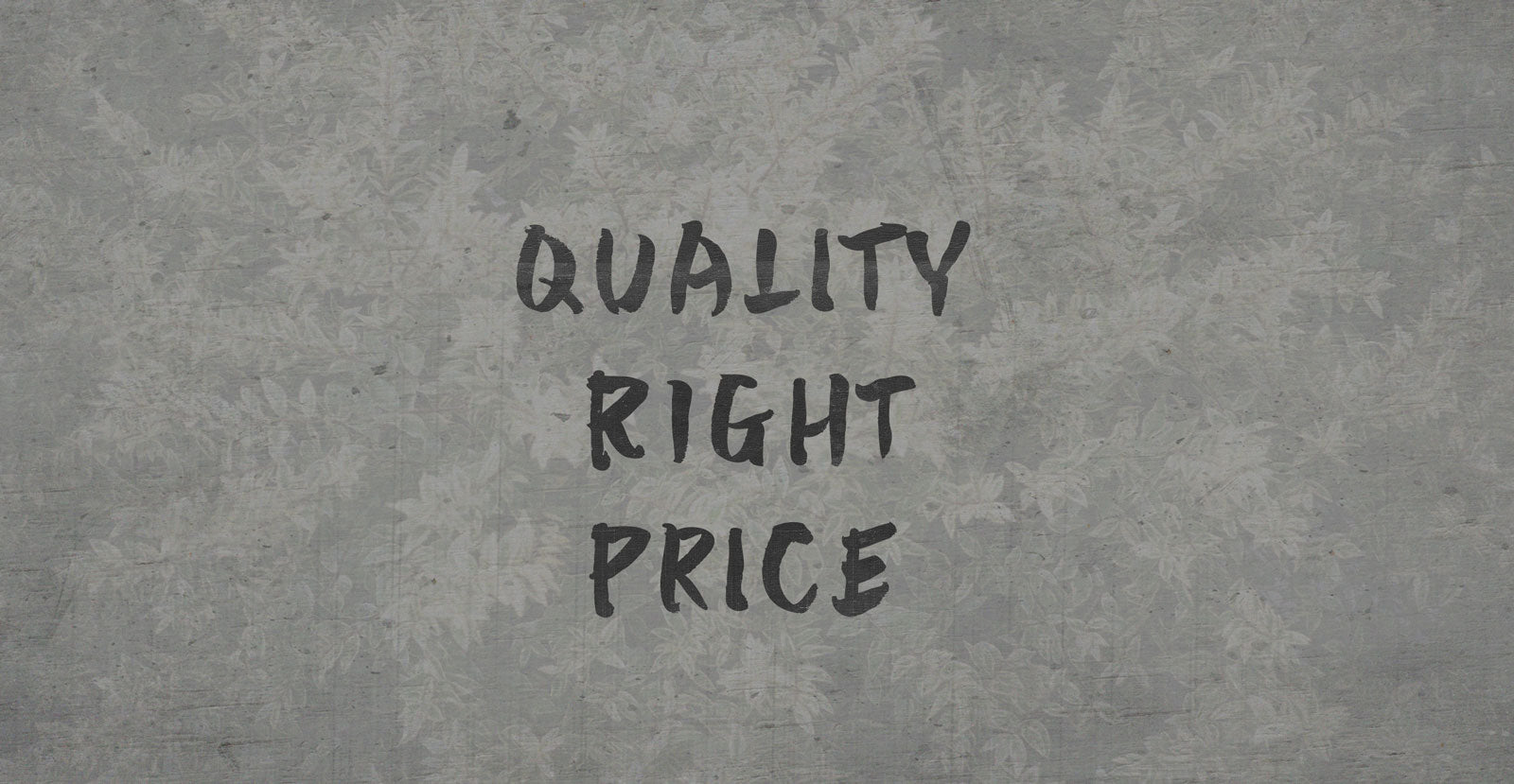 Altered Vision Handwritten Brush Font - BLKBK Type - Hand Drawn Script Font