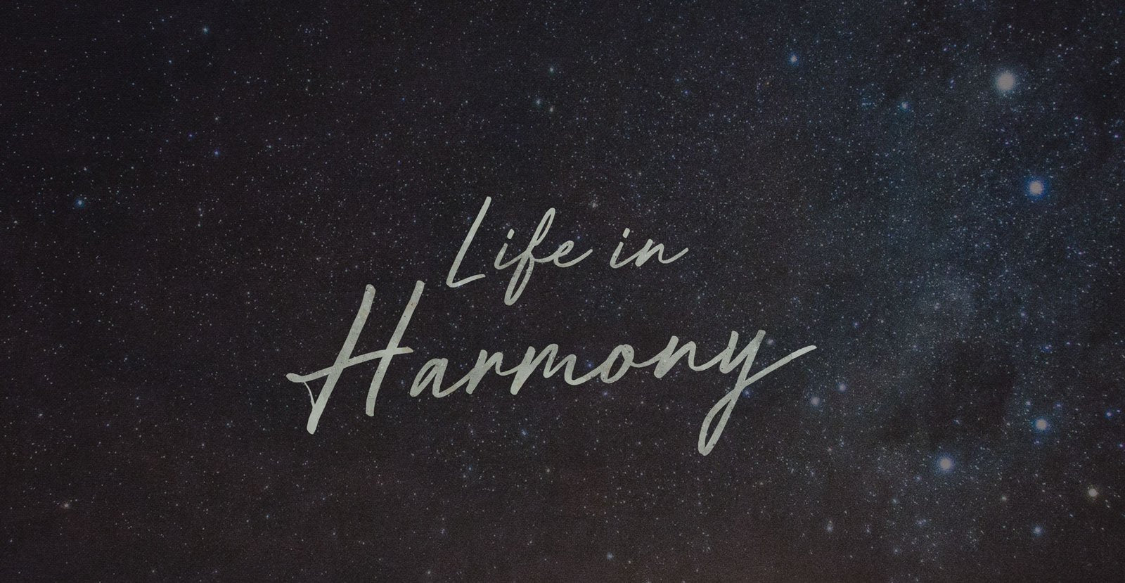 Future Shock Handwritten Brush Script Font - BLKBK Type - Hand Drawn Script Font