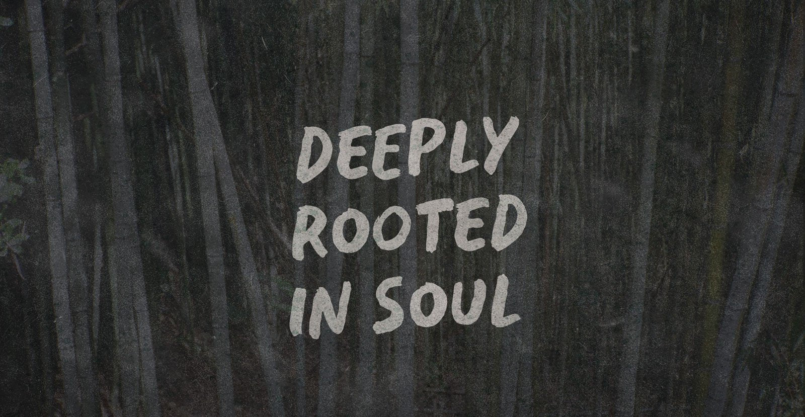 Touch Base Handwritten Brush Font - BLKBK Type - Hand Drawn Script Font